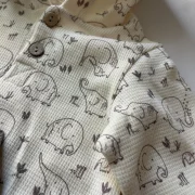 ENSEMBLE Bubble