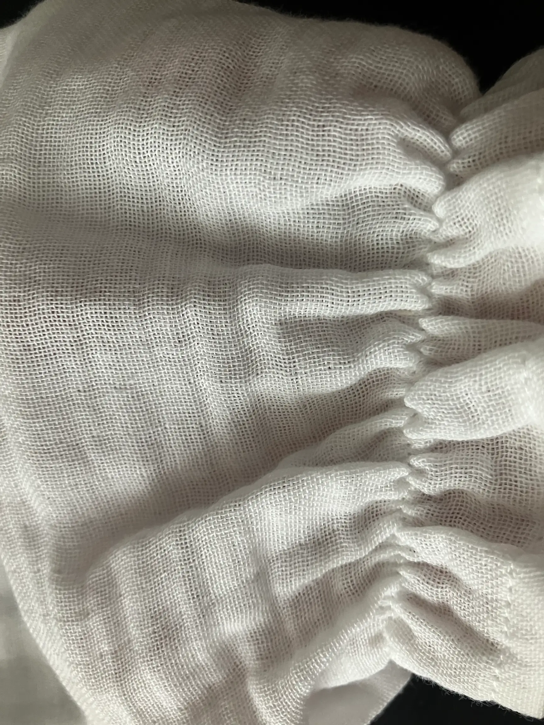 Plume Rose – Image 2